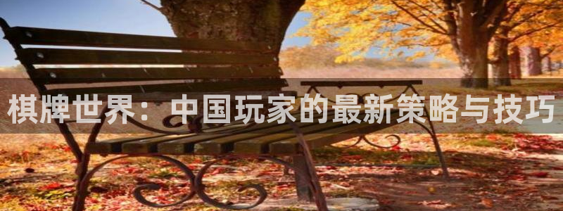 欧博娱乐网页登录入口下载：棋牌世界：中国玩家的最新策略与技巧